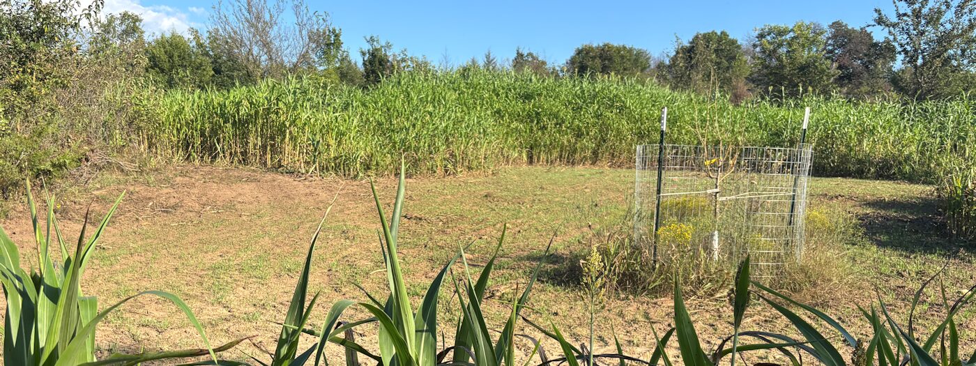 Prepping Fall Food Plots For Oklahoma Whitetails